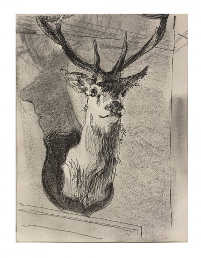 Stag
